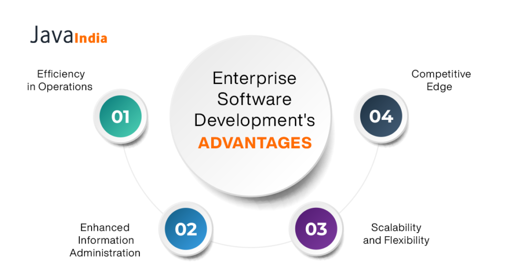 Enterprise Software Development's Advantages  